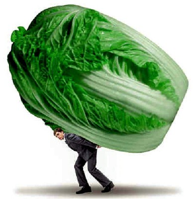 �˼۷��ǽ��Ͱ����Ҹ���